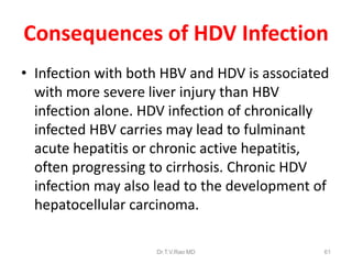 Consequences of HDV Infection
• Infection with both HBV and HDV is associated
with more severe liver injury than HBV
infection alone. HDV infection of chronically
infected HBV carries may lead to fulminant
acute hepatitis or chronic active hepatitis,
often progressing to cirrhosis. Chronic HDV
infection may also lead to the development of
hepatocellular carcinoma.
Dr.T.V.Rao MD 61
 