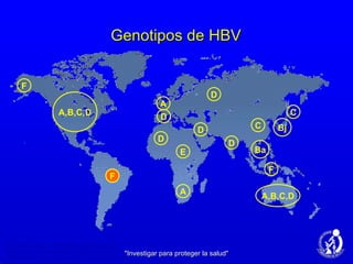 Genotipos de HBV "Investigar para proteger la salud" Fung SK & Lok ASF.  Hepatology. 2004;40:790–792. Chu C-J, et al. Gastroenterology. 2003;125:444–451. Kidd-Ljunggren K, et al. J Gen Virol. 2002;83:1267-1280. F C D E A D D D C Ba F A,B,C,D Bj A,B,C,D F A D 