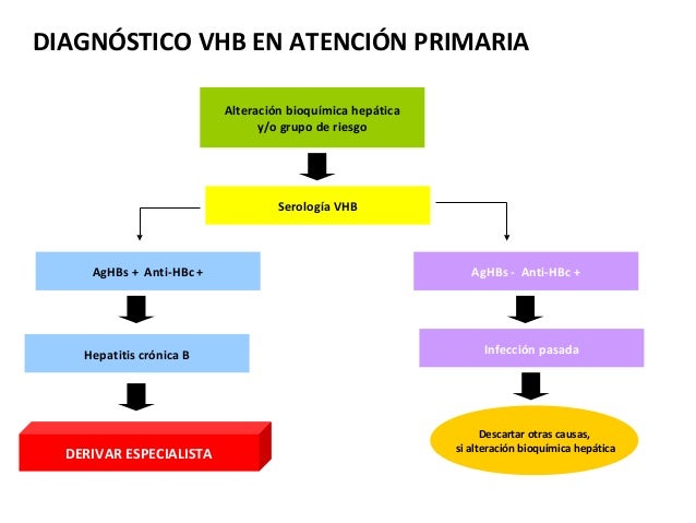 Hepatitis b en atencion primaria Hepatitis b en atencion primaria