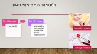 TRATAMIENTO Y PREVENCIÓN
Tto. HB aguda
• No existe
Tto. HB cronica
• Antivirales
(supresión
sostenida
de la
replicación)
Vacunación universal
Tamizaje neonatal
 