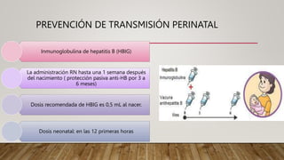 PREVENCIÓN DE TRANSMISIÓN PERINATAL
Inmunoglobulina de hepatitis B (HBIG)
La administración RN hasta una 1 semana después
del nacimiento ( protección pasiva anti-HB por 3 a
6 meses)
Dosis recomendada de HBIG es 0,5 mL al nacer.
Dosis neonatal: en las 12 primeras horas
 
