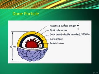 Dane Particle
 