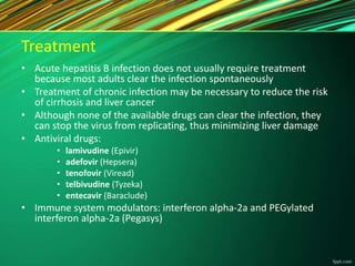 Treatment
• Acute hepatitis B infection does not usually require treatment
because most adults clear the infection spontaneously
• Treatment of chronic infection may be necessary to reduce the risk
of cirrhosis and liver cancer
• Although none of the available drugs can clear the infection, they
can stop the virus from replicating, thus minimizing liver damage
• Antiviral drugs:
• lamivudine (Epivir)
• adefovir (Hepsera)
• tenofovir (Viread)
• telbivudine (Tyzeka)
• entecavir (Baraclude)
• Immune system modulators: interferon alpha-2a and PEGylated
interferon alpha-2a (Pegasys)
 