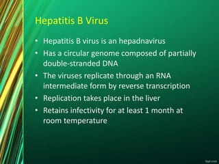 Hepatitis B Virus
• Hepatitis B virus is an hepadnavirus
• Has a circular genome composed of partially
double-stranded DNA
• The viruses replicate through an RNA
intermediate form by reverse transcription
• Replication takes place in the liver
• Retains infectivity for at least 1 month at
room temperature
 