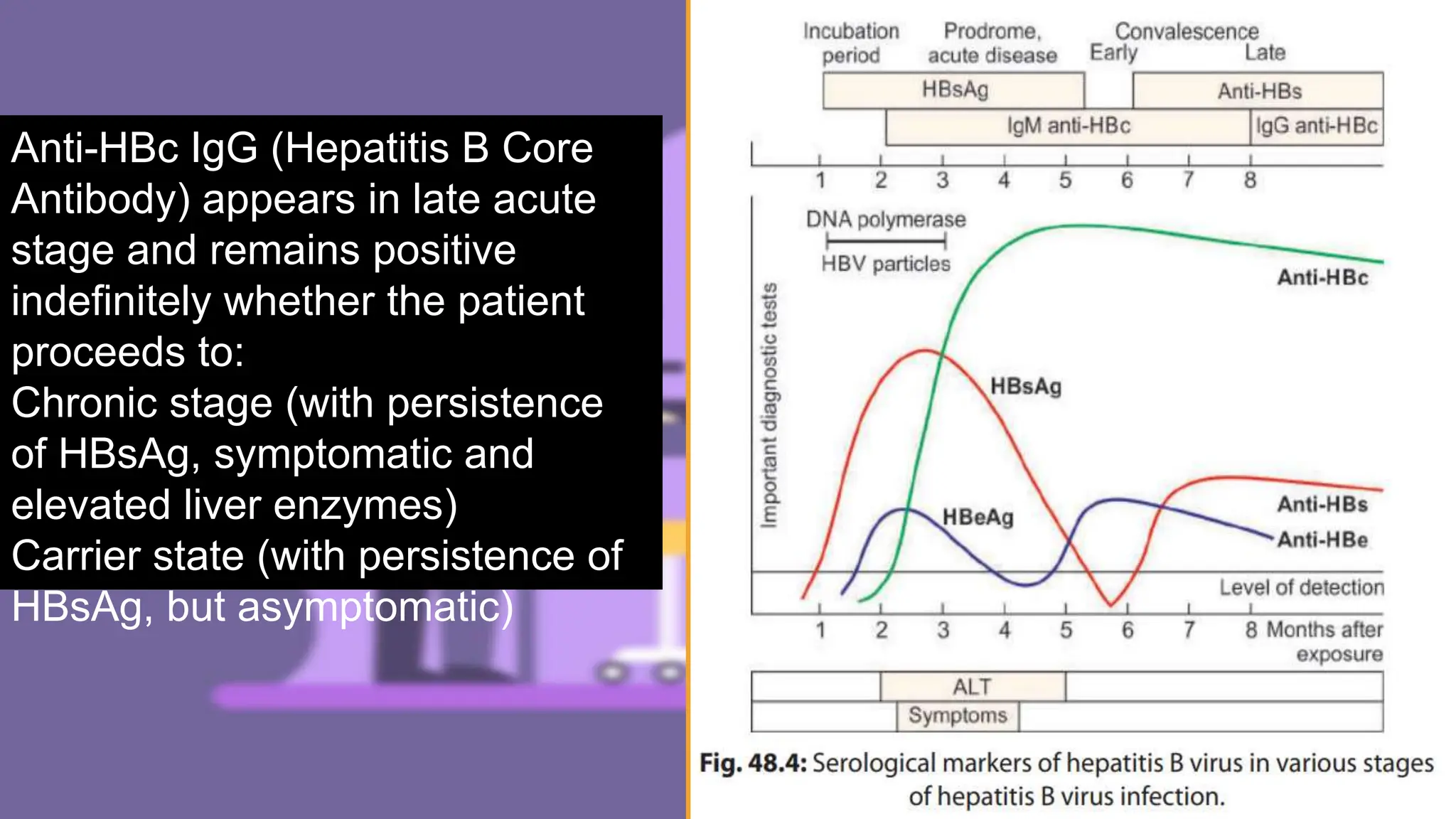 HEPATITIS B micro.pptx AND ITS APPLICATION | PPTX
