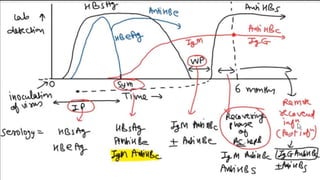 HEPATITIS B micro.pptx AND ITS APPLICATION | PPTX