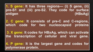 HEPATITIS B micro.pptx AND ITS APPLICATION | PPTX