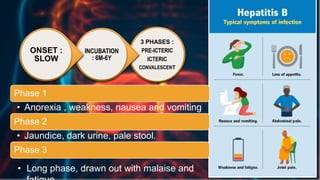 HEPATITIS B micro.pptx AND ITS APPLICATION | PPTX