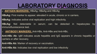 HEPATITIS B micro.pptx AND ITS APPLICATION | PPTX