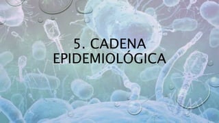 5. CADENA
EPIDEMIOLÓGICA
 