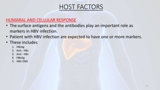 HOST FACTORS
HUMARAL AND CELLULAR RESPONSE
• Thesurface antigens and the antibodies play an important role as
markers in HBV infection.
• Patient with HBV infection are expected to have one or more markers.
• These includes
1. HBsAg
2. Anti - HBs
3. Anti - HBc
4. HBeAg
5. HBV DNA
22
 