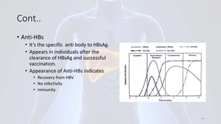 Cont..
• Anti-HBs
• It’s the specific anti body to HBsAg.
• Appears in individuals after the
clearance of HBsAg and successful
vaccination.
• Appearance of Anti-HBs indicates
• Recovery from HBV
• No infectivity
• immunity
24
 