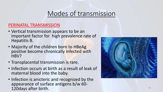 Modes of transmission
PERINATAL TRANSMISSION
• Vertical transmission appears to be an
important factor for high prevalence rate of
Hepatitis B.
• Majority of the children born to HBeAg
positive become chronically infected with
HBV?
• Transplacental transmission is rare.
• Infection occurs at birth as a result of leak of
maternal blood into the baby.
• Infection is anicteric and recognized by the
appearance of surface antigens b/w 60-
120days after birth. 29
 