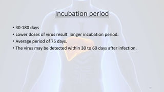 Incubation period
• 30-180 days
• Lower doses of virus result longer incubation period.
• Average period of 75 days.
• The virus may be detected within 30 to 60 days after infection.
31
 