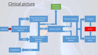 Clinical picture
Exposure
Acute Hepatitis B
Infection
Sub-clinical Infection
-ASYMPTOMATIC
DEATH
FULMINANT
Primary liver
cancer
Chronic hepatitis
Minimal liver
disease
cirrhosis
Clinical Infection
JAUNDICE
FLU-LIKE
Recovery
Immunity
Chronic carrier
32
0.5%
33%
66%
5-10%
85-90%
10-30%
70-90%
 