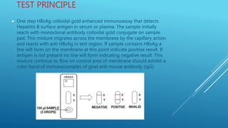 TEST PRINCIPLE
 One step HBsAg colloidal gold enhanced immunoassay that detects
Hepatitis B surface antigen in serum or plasma. The sample initially
reacts with monoclonal antibody colloidal gold conjugate on sample
pad. This mixture migrates across the membrane by the capillary action
and reacts with anti HBsAg in test region. If sample contains HBsAg a
line will form on the membrane at this point indicate positive result. If
antigen is not present no line will form indicating negative result. This
mixture continue to flow on control area of membrane should exhibit a
color band of immunocomplex of goat anti mouse antibody (igG)
 