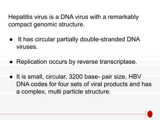 Hepatitis virus is a DNA virus with a remarkably
compact genomic structure.
● It has circular partially double-stranded DNA
viruses.
● Replication occurs by reverse transcriptase.
● It is small, circular, 3200 base- pair size, HBV
DNA codes for four sets of viral products and has
a complex, multi particle structure.
 