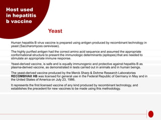 Yeast
Human hepatitis B virus vaccine is prepared using antigen produced by recombinant technology in
yeast (Saccharomyces cerevisiae).
The highly purified antigen had the correct amino acid sequence and assumed the appropriate
conformational structure to present the immunologic determinants (epitopes) that are needed to
stimulate an appropriate immune response.
Yeast-derived vaccine, is safe and is equally immunogenic and protective against hepatitis B as
plasma-derived vaccine, as demonstrated in tests carried out in animals and in human beings.
The yeast-derived vaccine produced by the Merck Sharp & Dohme Research Laboratories
RECOMBIVAX HB was licensed for general use in the Federal Republic of Germany in May and in
the United States of America on July 23, 1986.
It represents the first licensed vaccine of any kind produced by recombinant technology, and
establishes the precedent for new vaccines to be made using this methodology.
Host used
in hepatitis
b vaccine
 