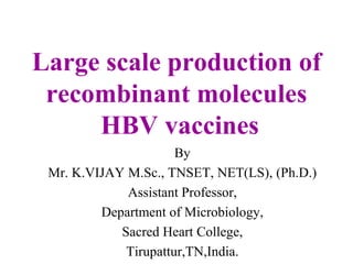 Large scale production of
recombinant molecules
HBV vaccines
By
Mr. K.VIJAY M.Sc., TNSET, NET(LS), (Ph.D.)
Assistant Professor,
Department of Microbiology,
Sacred Heart College,
Tirupattur,TN,India.
 