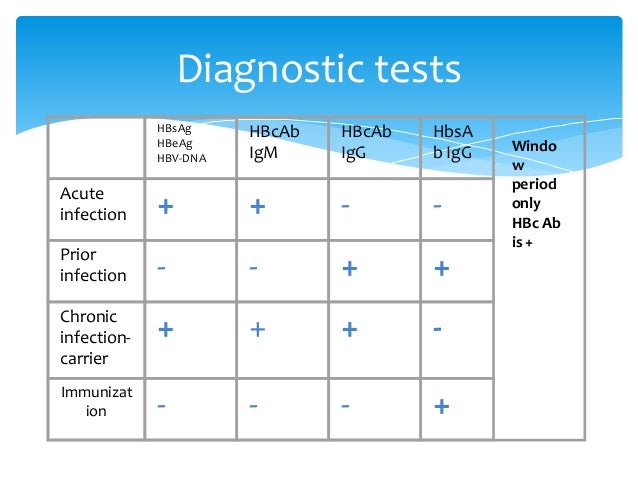 hepatitis b virus hep b serology chart