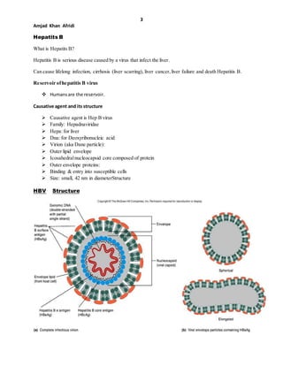 3
Amjad Khan Afridi
Hepatits B
What is Hepatits B?
Hepatitis B is serious disease caused by a virus that infect the liver.
Can cause lifelong infection, cirrhosis (liver scarring), liver cancer,liver failure and death Hepatitis B.
Reservoir ofhepatitis B virus
 Humansare the reservoir.
Causative agent and its structure
 Causative agent is Hep B virus
 Family: Hepadnaviridae
 Hepa: for liver
 Dna: for Deoxyribonucleic acid
 Virion (aka Dane particle):
 Outer lipid envelope
 Icosahedralnucleocapsid core composed of protein
 Outer envelope proteins:
 Binding & entry into susceptible cells
 Size: small, 42 nm in diameterStructure
HBV Structure
 