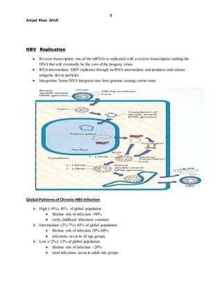 5
Amjad Khan Afridi
HBV Replication
 Reverse transcription: one of the mRNAs is replicated with a reverse transcriptase making the
DNA that will eventually be the core of the progeny virion
 RNA intermediate: HBV replicates through an RNA intermediate and produces and release
antigenic decoy particles.
 Integration: Some DNA integrates into host genome causing carrier state .
Global Patterns of Chronic HBV Infection
 High (>8%): 45% of global population
 lifetime risk of infection >60%
 early childhood infections common
 Intermediate (2%-7%):43% of global population
 lifetime risk of infection 20%-60%
 infections occur in all age groups
 Low (<2%): 12% of global population
 lifetime risk of infection <20%
 most infections occur in adult risk groups
 