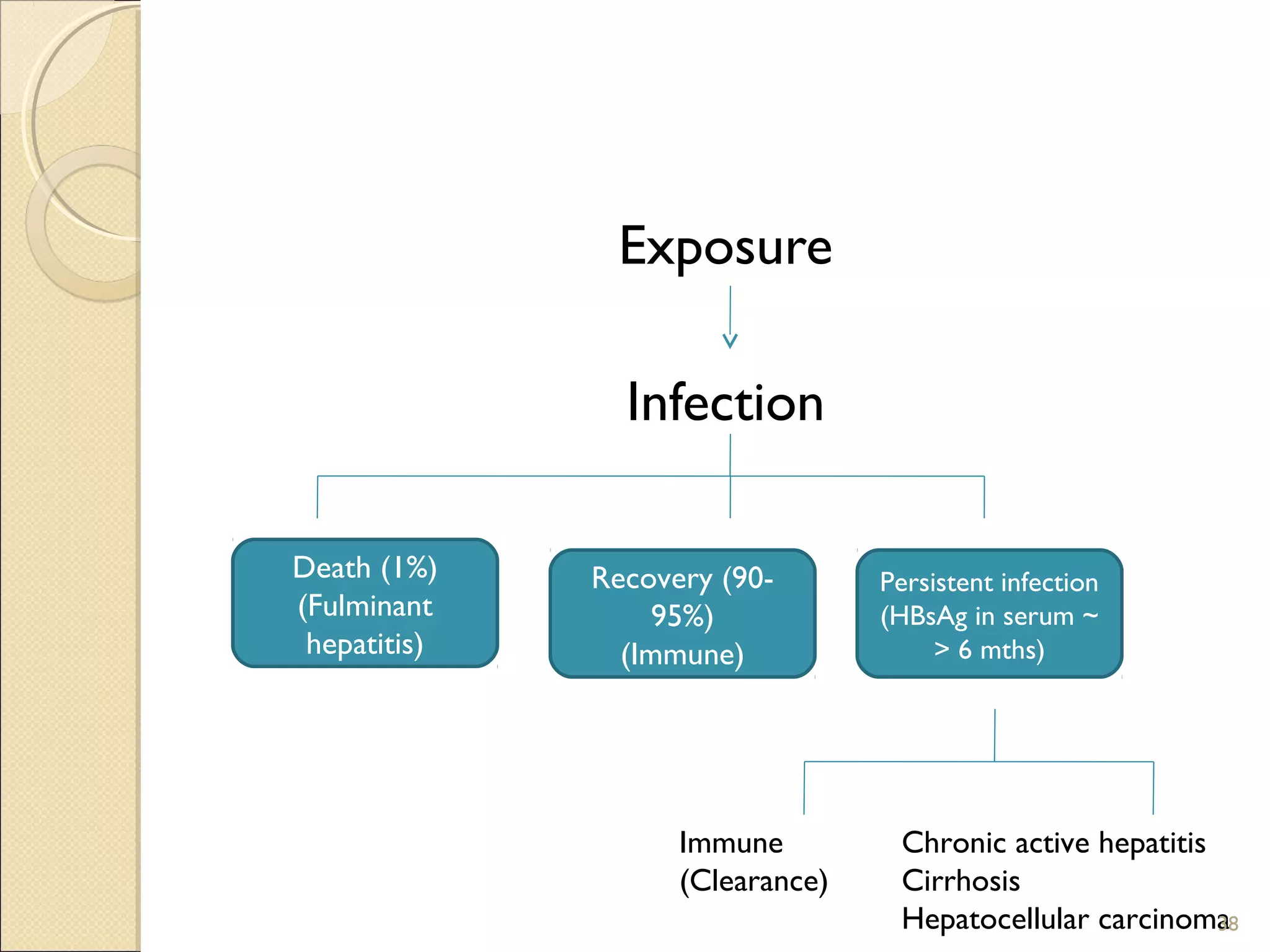 Exposure
Infection
Death (1%)
(Fulminant
hepatitis)
Recovery (90-
95%)
(Immune)
Persistent infection
(HBsAg in serum ~
> 6 mths)
Immune
(Clearance)
Chronic active hepatitis
Cirrhosis
Hepatocellular carcinoma38
 