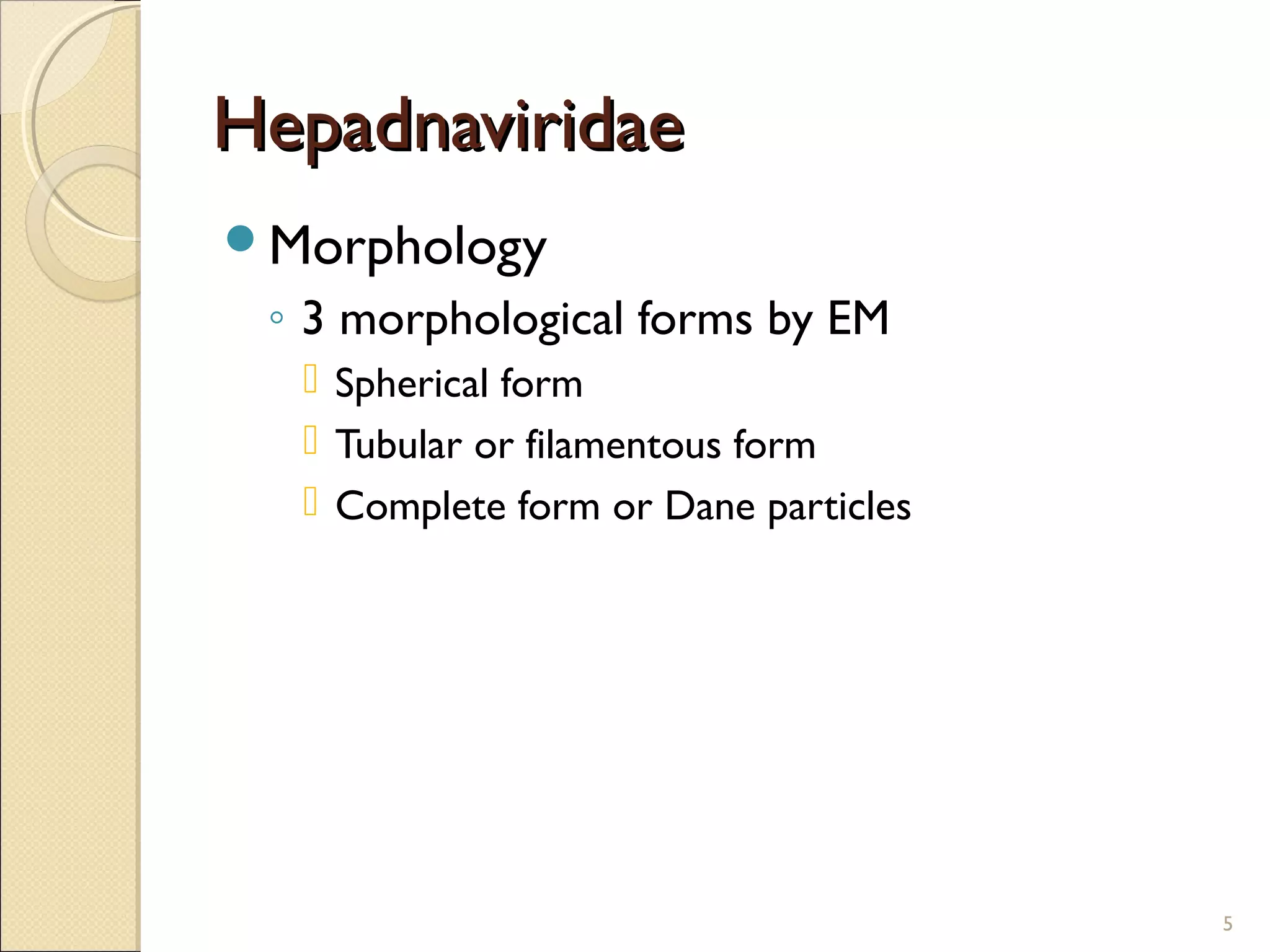 HepadnaviridaeHepadnaviridae
Morphology
◦ 3 morphological forms by EM
 Spherical form
 Tubular or filamentous form
 Complete form or Dane particles
5
 