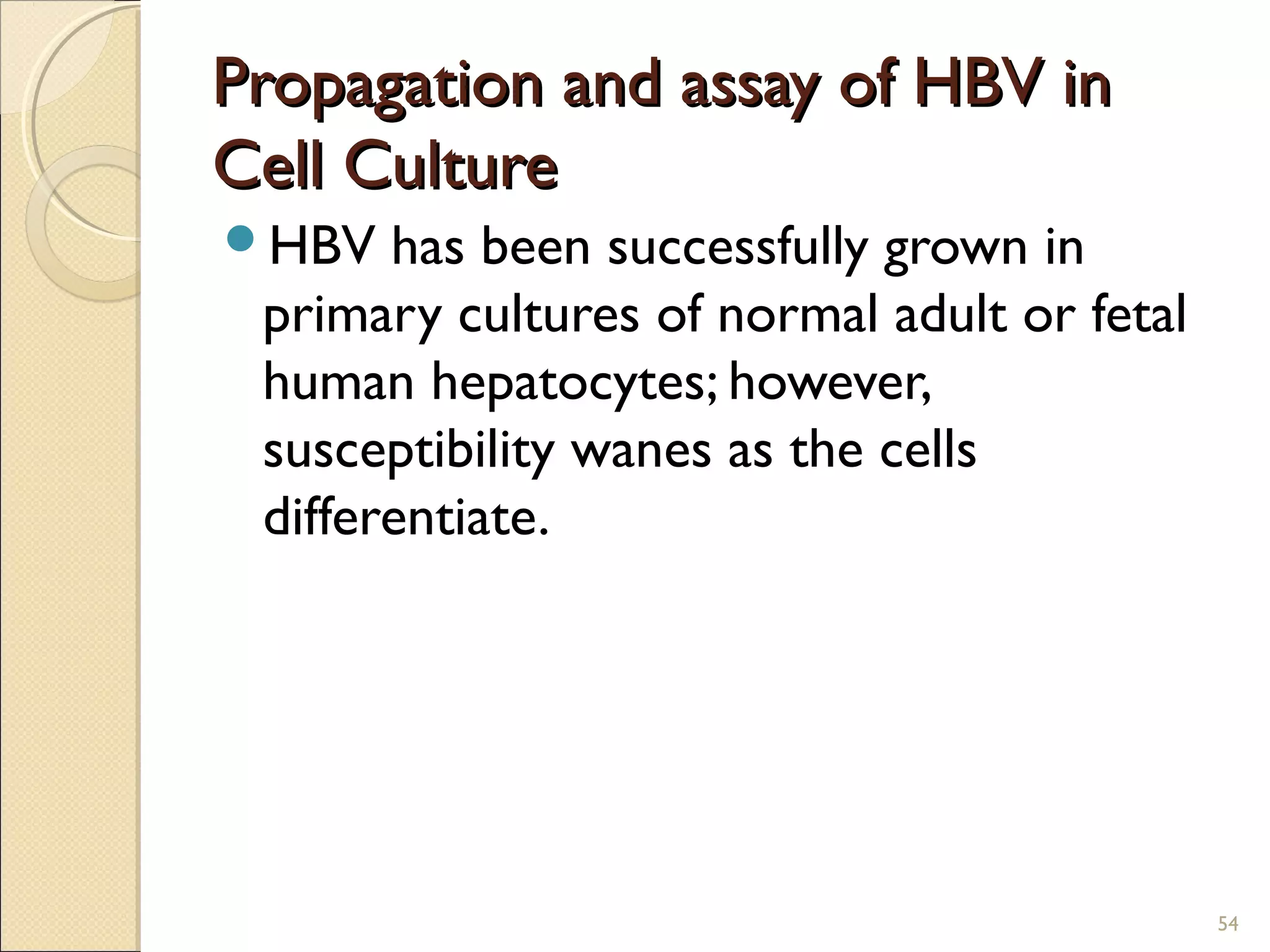 Propagation and assay of HBV inPropagation and assay of HBV in
Cell CultureCell Culture
HBV has been successfully grown in
primary cultures of normal adult or fetal
human hepatocytes; however,
susceptibility wanes as the cells
differentiate.
54
 