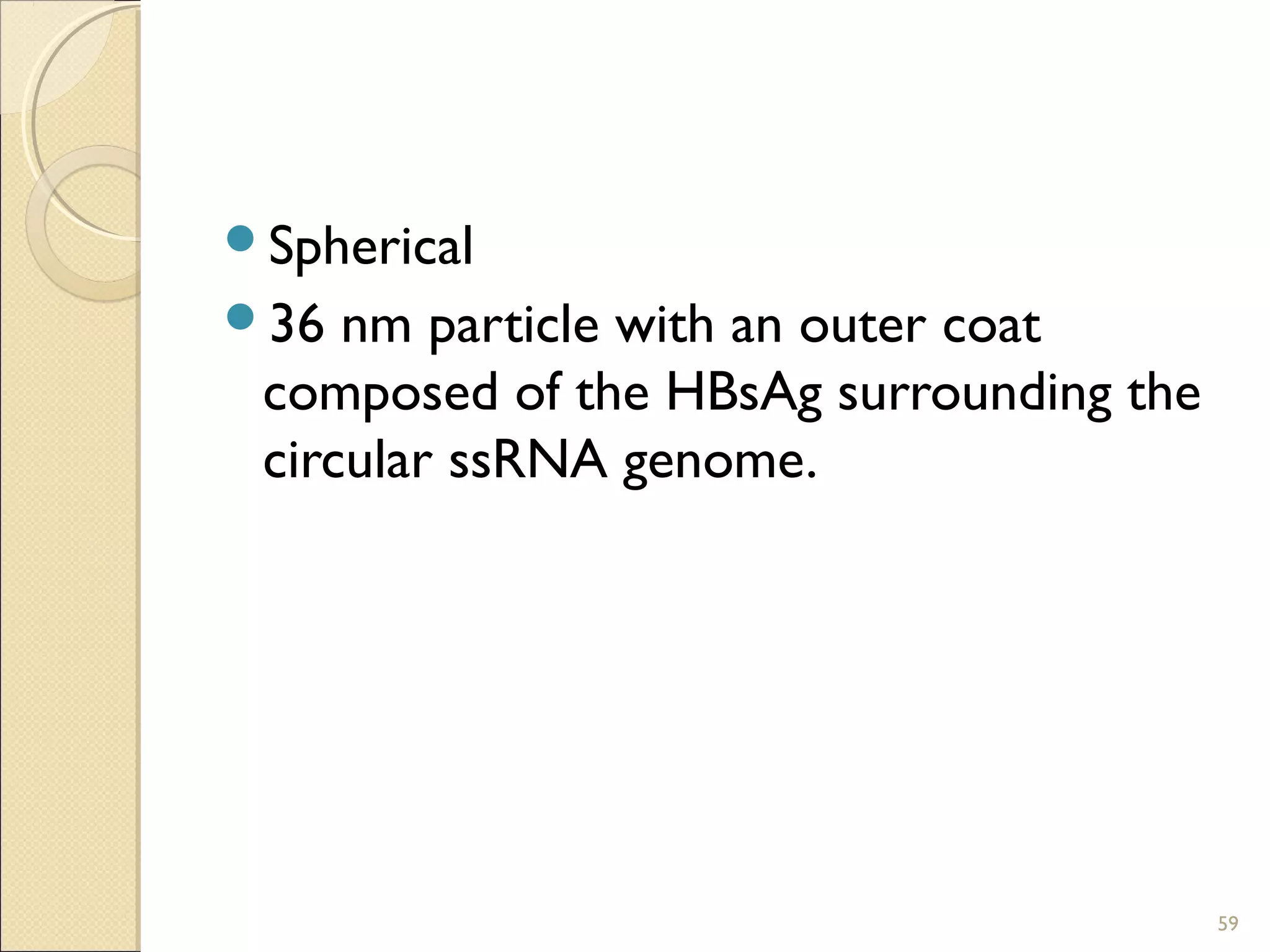 Spherical
36 nm particle with an outer coat
composed of the HBsAg surrounding the
circular ssRNA genome.
59
 