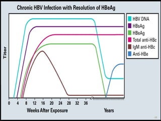 Hepatitis b virus general virology and laboratory diagnosis | PPT