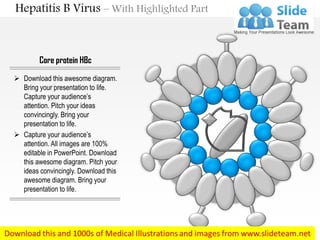 Hepatitis b virus medical images for power point | PPT