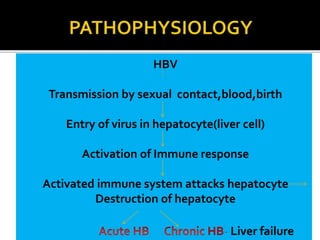 HBV
Transmission by sexual contact,blood,birth
Entry of virus in hepatocyte(liver cell)
Activation of Immune response
Activated immune system attacks hepatocyte
Destruction of hepatocyte
HB- Liver failure
 