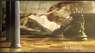  Inflamación del tejido funcional
del hígado
HEPATITIS
Villalobos
El hígado
 