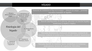 HÍGADO
Fisiología del
hígado
1.- Filtrado y
almacenamiento de
sangre
2.-Metabolismo de
hidratos de carbono,
proteínas, grasas,
hormonas y
compuestos
químicos
3.- Formación de
bilis
4.- Deposito de
vitaminas y hierro
5.- Síntesis de
factores de la
coagulación
*Aumento de resistencia al flujo de la sangre, + almacén de sangre, + presiones
vasculares trasudado de líquidos.
* - Función amortiguadora de la glucosa, glucemia con función hepática
insuficiente se duplica o triplica
*Afectadas deposito de vitaminas, hierro, metabolismo de hormonas,
medicamentos, factores de coagulación, bilirrubina
*Afectadas desaminación, eliminación del amoniaco, formación de
proteínas, oxidación de ácidos grasos, formación: colesterol, lipoproteínas
 