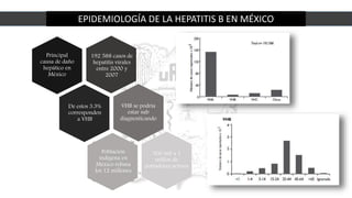 EPIDEMIOLOGÍA DE LA HEPATITIS B EN MÉXICO
Principal
causa de daño
hepático en
México
192 588 casos de
hepatitis virales
entre 2000 y
2007
De estos 3.3%
corresponden
a VHB
VHB se podría
estar sub
diagnosticando
Población
indígena en
México rebasa
los 12 millones
300 mil a 1
millón de
portadores activos
 