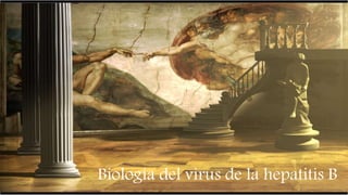  Inflamación del tejido funcional
del hígado
HEPATITIS
Villalobos
Biología del virus de la hepatitis B
 
