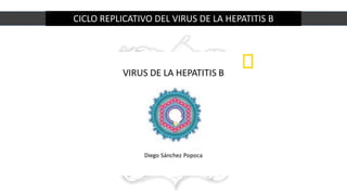 CICLO REPLICATIVO DEL VIRUS DE LA HEPATITIS B
 