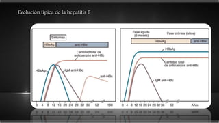 Evolución típica de la hepatitis B
 