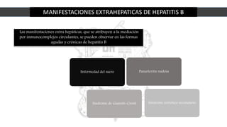 MANIFESTACIONES EXTRAHEPATICAS DE HEPATITIS B
Las manifestaciones extra hepáticas, que se atribuyen a la mediación
por inmunocomplejos circulantes, se pueden observar en las formas
agudas y crónicas de hepatitis B
Enfermedad del suero
Estreptococos grupo
A
15 A 30%
Panarteritis nudosa
Síndrome de Gianotti-Crosti Síndrome nefrótico secundario
 