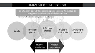 DIAGNÓSTICO DE LA HEPATITIS B
La infección por VHB se asocia a patrones característicos de
antígenos y anticuerpos de la hepatitis B.
•Confirmar la fase de la infección y elección del tratamiento
Aguda
Infección
previa
Infección
crónica Nivel de
replicación
Anticuerpos
Anti-HBc
Pruebas
serológicas
Pruebas
moleculares
 
