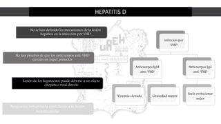 HEPATITIS D
infección por
VHD
Anticuerpos IgM
anti-VHD
Viremia elevada Gravedad mayor
Anticuerpos IgG
anti-VHD
Suele evolucionar
mejor
No se han definido los mecanismos de la lesión
hepática en la infección por VHD
No hay pruebas de que los anticuerpos anti-VHD
ejerzan un papel protector
Lesión de los hepatocitos puede deberse a un efecto
citopático viral directo
Respuesta inmunitaria contribuye a la lesión
hepatocelular
 