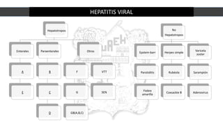 HEPATITIS VIRAL
Hepatotropos
Enterales
A
E
Paraenterales
B
C
D
Otros
F
G
GB(A,B,C)
VTT
SEN
No
Hepatotropos
Epstein-barr
Parotiditis
Fiebre
amarilla
Herpes simple
Rubéola
Coxsackie B
Varicela
zoster
Sarampión
Adenovirus
 