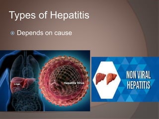 Acute Chronic Hepatitis Sonology Urdu | PPTX