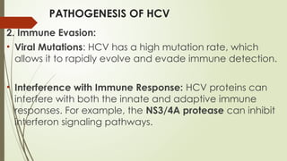 PATHOGENESIS OF HCV
2. Immune Evasion:
• Viral Mutations: HCV has a high mutation rate, which
allows it to rapidly evolve and evade immune detection.
• Interference with Immune Response: HCV proteins can
interfere with both the innate and adaptive immune
responses. For example, the NS3/4A protease can inhibit
interferon signaling pathways.
 