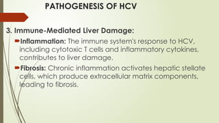 PATHOGENESIS OF HCV
3. Immune-Mediated Liver Damage:
Inflammation: The immune system's response to HCV,
including cytotoxic T cells and inflammatory cytokines,
contributes to liver damage.
Fibrosis: Chronic inflammation activates hepatic stellate
cells, which produce extracellular matrix components,
leading to fibrosis.
 