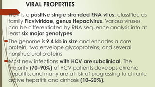VIRAL PROPERTIES
HCV is a positive single stranded RNA virus, classified as
family Flaviviridae, genus Hepacivirus. Various viruses
can be differentiated by RNA sequence analysis into at
least six major genotypes
The genome is 9.4 kb in size and encodes a core
protein, two envelope glycoproteins, and several
nonstructural proteins
Most new infections with HCV are subclinical. The
majority (70–90%) of HCV patients develops chronic
hepatitis, and many are at risk of progressing to chronic
active hepatitis and cirrhosis (10–20%).
 