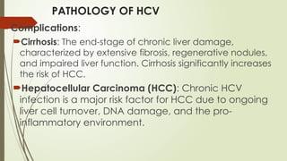 PATHOLOGY OF HCV
Complications:
Cirrhosis: The end-stage of chronic liver damage,
characterized by extensive fibrosis, regenerative nodules,
and impaired liver function. Cirrhosis significantly increases
the risk of HCC.
Hepatocellular Carcinoma (HCC): Chronic HCV
infection is a major risk factor for HCC due to ongoing
liver cell turnover, DNA damage, and the pro-
inflammatory environment.
 