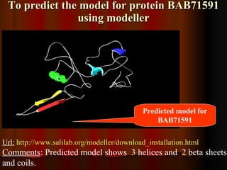 To predict the model for protein BAB71591 using modeller Url:   http:// www.salilab.org/modeller/download_installation.html Comments : Predicted model shows  3 helices and  2 beta sheets and coils. Predicted model for BAB71591 