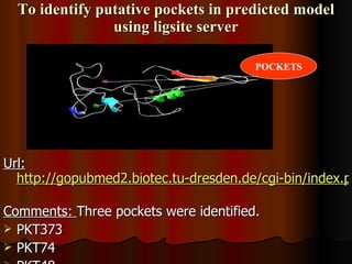 To identify putative pockets in predicted model using ligsite server Url: http://gopubmed2.biotec.tu-dresden.de/cgi-bin/index.php   Comments:  Three pockets were identified. PKT373 PKT74  PKT48 POCKETS 